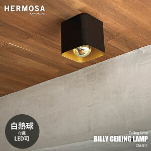 【楽天市場ランキング1位】 HERMOSA ハモサ BILLY CEILING LAMP ビリーシーリングランプ CM-011BK (白熱球付属) シーリングライト 天井直付照明 玄関照明 階段照明 廊下照明 トイレ照明 天井照明 LED対