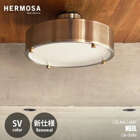 【楽天市場ランキング1位獲得】HERMOSA ハモサ NEIL CEILING LAMP (SV) ニールシーリングランプ (シルバー) CM-009 シーリングランプ シーリングライト LED内蔵 リモコン付属 デザイン照明 インダストリアル