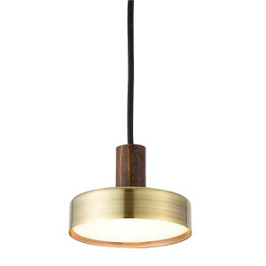 SWAN Xd Anther Garden RUMANI PENDANT LIGHT }[j y_gCg LED APE-055 (CeBO[p) 1 y_gv V݂艺Ɩ