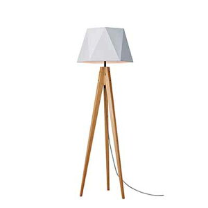 ARTWORKSTUDIO A[g[NX^WI Espresso 2-floor lamp GXvb\2tA[v (dȂ) AW-0572Z tACg X^hCg tAƖ X^hƖ LEDΉ z ؐ C k V