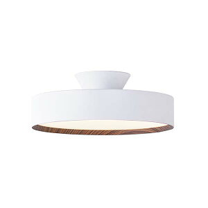 ARTWORKSTUDIO A[g[NX^WI Glow 3000 LED-ceiling light O[ 3000 LED V[OCg (LED) AW-0643E (`6) V[Ov VƖ V䒼tƖ  F 铔 R