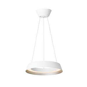 ARTWORKSTUDIO A[g[NX^WI Loop LED-pendant light [vLEDy_Cg (LED) AW-0645E y_gv ݉Ɩ VƖ  F  VF[hE