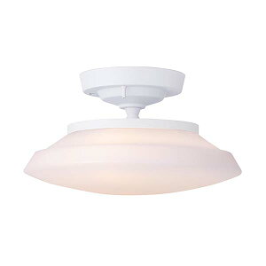 ARTWORKSTUDIO A[g[NX^WI Graph LED-remote ceiling light OtLED[gV[OCg (LED) AW-0649E V[Ov VƖ  F R 铔 JX^VF[h