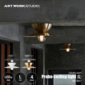 ARTWORKSTUDIO �A�[�g���[�N�X�^�W�I Probe-ceiling light L �v���[�u�V�[�����O���C�g (L) AW-0657 �V�[�����O�����v �V��Ɩ� LED�Ή� �`60W×1��