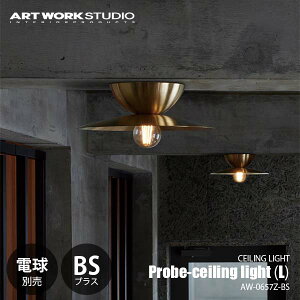 ARTWORKSTUDIO A[g[NX^WI Probe-ceiling light (L)-BS v[uV[OCg (L) uX (dʔ) AW-0657Z-BS V[Ov VƖ LEDΉ `60W×1
