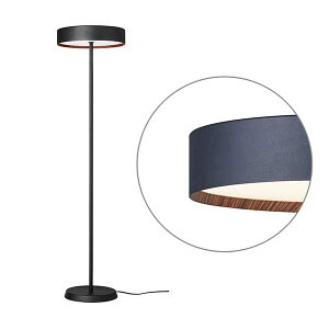 ARTWORKSTUDIO �A�[�g���[�N�X�^�W�I Glow LED-floor lamp �O���[LED�t���A�����v (LED����) AW-0644E �t���A���C�g �X�^���h���C�g �X�^���h�����v �t���A�Ɩ� �X�^���h�Ɩ� �����R�� ���� ���F �A�b�p�[