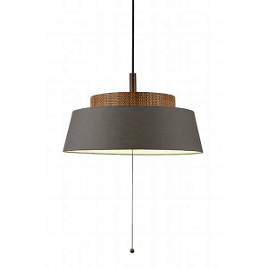 NAGASAWA Lighting VCeBO SWELL XEF (LEDt) NP-5080 y_gCg y_gv ݉Ɩ VƖ MΉ E26 80W×3 _CjO ^ t@ubN i`