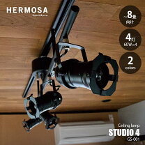 楽天市場】studio4 スポットライトの通販 