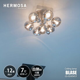 HERMOSA ハモサ BLASE CEILING LAMP ブラーゼシーリングランプ (白熱球付属) GS-024SVGY / シーリングライト LED球対応 天井照明 E26 40W×7灯 ミラーガラス モダン ラグジュアリー