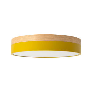 BRID �u���b�h Olika LED CEILING LIGHT Ver.2 �I���J LED�V�[�����O���C�gVer.2 (LED����) 003371 / �`��10����� �V�[�����O�����v �V�䒼�t�Ɩ� ���� ���F �����R�� ��铔