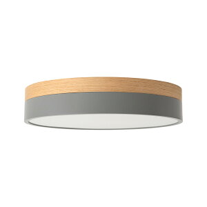 BRID �u���b�h Olika LED CEILING LIGHT Ver.2 �I���J LED�V�[�����O���C�gVer.2 (LED����) 003371 / �`��10����� �V�[�����O�����v �V�䒼�t�Ɩ� ���� ���F �����R�� ��铔