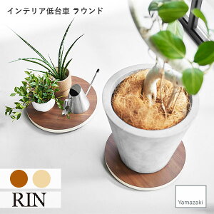 RIN (R) CeA Eh [  Lb` ϗtA v^[ L[ S N[[bg ؖ Ebh