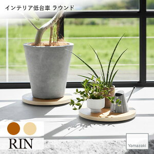 RIN (R) CeA Eh [  Lb` ϗtA v^[ L[ S N[[bg ؖ Ebh