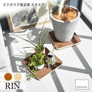 RIN (R) CeA XNGA [  Lb` ϗtA v^[ L[ S N[[bg ؖ Ebh