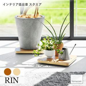 RIN (R) CeA XNGA [  Lb` ϗtA v^[ L[ S N[[bg ؖ Ebh