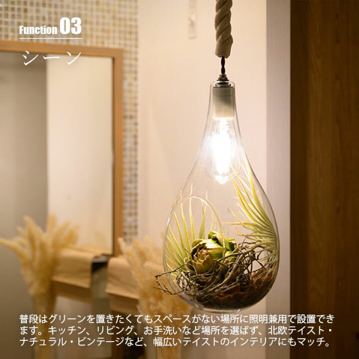 楽天市場】SWAN スワン電器 BOTANIC HANGING LIGHT with FAKEGREEN L 