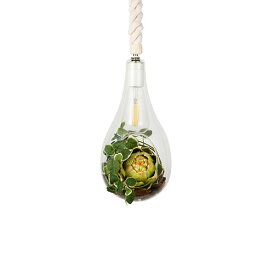 SWAN スワン電器 BOTANIC HANGING LIGHT with FAKEGREEN M ボタニックハンギングライト ウィズ フェイクグリーン (M) APE-021FG / LED球付属 ペンダントライト ペンダントランプ 天井照明 60W相当×1灯