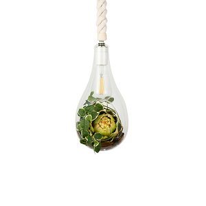 SWAN Xd BOTANIC HANGING LIGHT with FAKEGREEN M {^jbNnMOCg EBY tFCNO[ (M) APE-021FG / LEDt y_gCg y_gv VƖ 60W×1