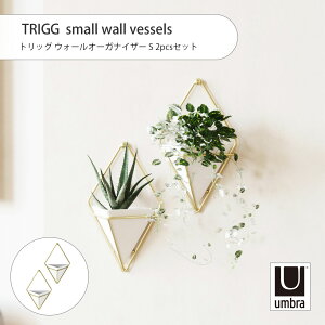 Umbra Au TRIGG small wall vessels gbO EH[I[KiCU[ S 2pcsZbg v^[ ϗtA A [  ǖ Ǌ|