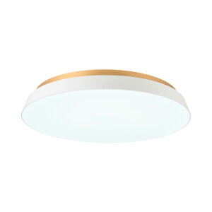 SWAN �X�����d�� TAIRA ceiling light �^�C�� �V�[�����O���C�g (LED����) ACE-175 / �V�[�����O�����v �V�䒼�t�Ɩ� 10�i�K���� ���F �o�b�N���C�g�t�� �����R��