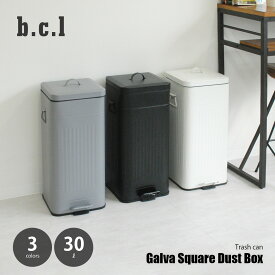 b.c.l ビーシーエル Galva Square Dust Box 30L ガルバ スクエアダストボックス 30L / ステップ式 ゴミ箱 ごみ箱 ダストボックス 蓋付き フタ付き ペダル開閉