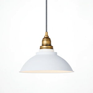 ARTWORKSTUDIO �A�[�g���[�N�X�^�W�I Theory-pendant �Z�I���[�y���_���g AW-0574 / �y���_���g���C�g �y���_���g�����v �݂艺���Ɩ� �V��Ɩ� LED���Ή� E26 �`60W×1�� �}�b�g�h�� ���n���H �^�J�\�P�b