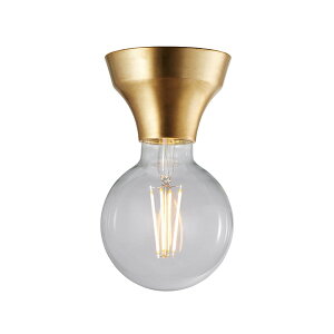 ARTWORKSTUDIO �A�[�g���[�N�X�^�W�I Adam-ceiling light �A�_���V�[�����O���C�g (�d���ʔ�) AW-0634Z �V�[�����O�����v �V��Ɩ� LED�Ή� E26 �`60W×1��