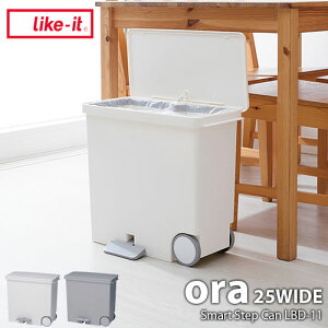 like-it CNCbg ora IA25Ch R^ʃy_y[ LBD-11 25L S~ _Xg{bNX  y_