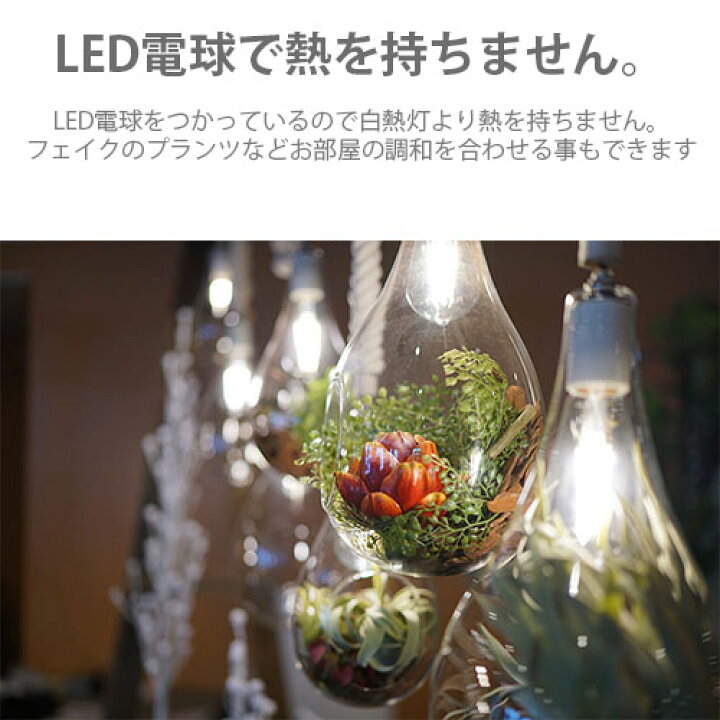 楽天市場】SWAN スワン電器 Another Garden BOTANIC Hanging light (M 