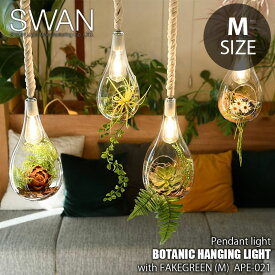 SWAN スワン電器 Another Garden BOTANIC HANGING LIGHT with FAKEGREEN (M) APE-021FG (LED球付属) ペンダントライト ペンダントランプ 天井照明 吊下げ照明 フェイクグリーン テラリウムライト