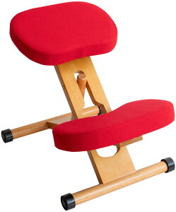 wK֎q v|[V`FA p wK`FA wK ֎q 48.5×s61`68×43`64cm ؐ  ׋֎q ׋ wK LX^[t q l {쏊 W͂܂v