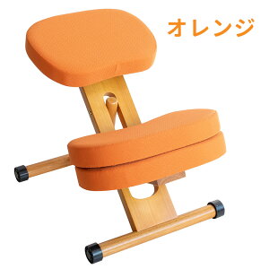 【一部予約商品】学習椅子 プロポーションチェア キッズ 姿勢 学習チェア 学習 椅子 木製 高さ調整 学習机 子供イス 勉強椅子 リビング学習 勉強いす 学習いす キャスター付き 子供 キッズ