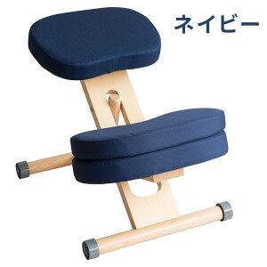 【一部予約商品】学習椅子 プロポーションチェア キッズ 姿勢 学習チェア 学習 椅子 木製 高さ調整 学習机 子供イス 勉強椅子 リビング学習 勉強いす 学習いす キャスター付き 子供 キッズ