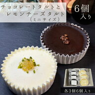 タルト 2種類 6個入り　【5と0の日　ポイント5倍！】お中元　チョコレートタルト ガトーショコラ チーズ…