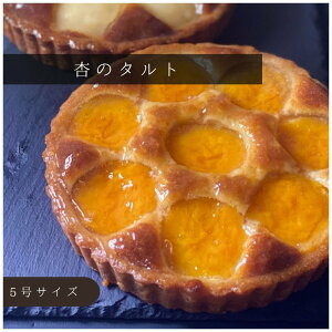 ǂ̃^g y50̓|Cg5{Izy}\Ԓ|Cg2{Izy _tf[|Cg5{zj a Ăَq XC[c  ^g mَq n̓ 16Z` 