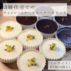 3層仕立てのチョコレートケーキとチーズケーキ 【お買物マラソン期間中　ポイント10倍！クーポン配布！】 2種類 10個入り ショコラ　フロマージュ チョコレート 生チョコ ガトーショコラ レモン クッキー チョコレートケーキ チーズケーキ スイーツ ギフト 冷凍便