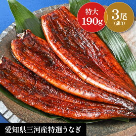【国産特選 蒲焼き鰻　特大 3尾 セット 】計570g　お中元　土用の丑　お盆　贈り物　誕生日　お祝　内祝　お返し　ギフト　 三河産鰻　敬老の日
