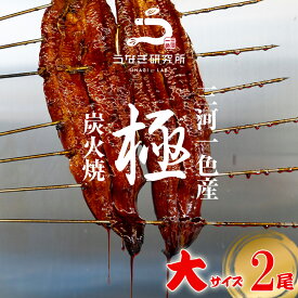 【10%OFFクーポン配布中!!】うなぎ 蒲焼き【大(140～150g)】 2尾 国産 三河一色産 炭火手焼き 蒲焼 長焼き タレ付 お取り寄せ 土用の丑 お中元 お歳暮 母の日 父の日 お祝い プレゼント 個包装 真空パック 蒲焼き