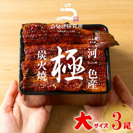 【お歳暮に最適!!最大10%OFFクーポン配布中!!】うなぎ 蒲焼き【大(140～150g)】3尾 国産 三河一色産 炭火手焼き 蒲焼 長焼き タレ付 お取り寄せ 土用の丑 お中元 お歳暮 母の日 父の日 お祝い プレゼント 個包装 真空パック 蒲焼き ss9