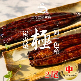 ★スーパーセール★【お歳暮に最適!!最大10%OFFクーポン配布中!!】うなぎ 蒲焼き【中(120～130g)】2尾 国産 三河一色産 炭火手焼き 蒲焼 長焼き タレ付 お取り寄せ 土用の丑 お中元 お歳暮 母の日 父の日 お祝い プレゼント 個包装 真空パック
