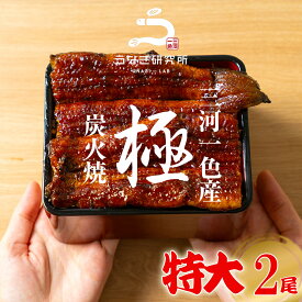 【お歳暮に最適!!最大10%OFFクーポン配布中!!】うなぎ 蒲焼き【特大(160～170g)】 2尾 国産 三河一色産 炭火手焼き 蒲焼 長焼き タレ付 お取り寄せ 土用の丑 お中元 お歳暮 母の日 父の日 お祝い プレゼント 個包装 真空パック 蒲焼き k