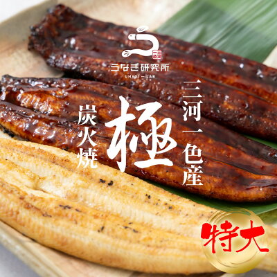 国産 うなぎ蒲焼き 2尾セット