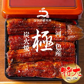 【お歳暮に最適!!最大10%OFFクーポン配布中!!】うなぎ 蒲焼き【特大(160～170g)】 国産 三河一色産 炭火手焼き 蒲焼 長焼き タレ付 お取り寄せ 土用の丑 お中元 お歳暮 母の日 父の日 お祝い プレゼント 個包装 真空パック 蒲焼き p15