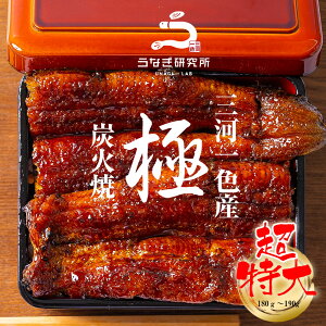yő10%OFFN[|zz!!zȂ Ăy(180`190g)z2`5Zbg Y O͈FY YΎĂ  Ă ^t  yp̉N  Ε ̓ ̓ j v