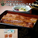 うなぎ 鰻 国産 プレゼント ギフト 蒲焼 100g×2セット ての字 化粧箱入り お中元 手焼き 保存料不使用 熨斗対応 お歳暮 お年賀 お誕生日 お取り寄せ 贈り物 お祝い 内祝い