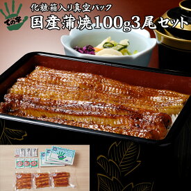 うなぎ 鰻 国産 プレゼント ギフト 蒲焼 100g×3セット ての字 化粧箱入り 手焼き 保存料不使用 熨斗対応 お歳暮 お年賀 お誕生日 お取り寄せ 贈り物 お祝い 内祝い