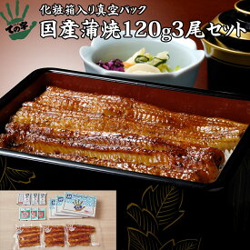 うなぎ 鰻 国産 プレゼント ギフト 蒲焼 120g×3セット ての字 化粧箱入り 手焼き 保存料不使用 熨斗対応 お歳暮 お年賀 お誕生日 お取り寄せ 贈り物 お祝い 内祝い