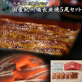 うなぎ 鰻 国産 プレゼント ギフト 蒲焼 紀州備長炭焼 120g×5セット ての字 化粧箱入り 手焼き 保存料不使用 熨斗対応 お歳暮 お年賀 お誕生日 お取り寄せ 贈り物 お祝い 内祝い