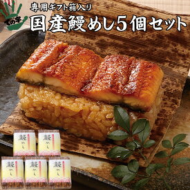 うなぎ 鰻 国産 プレゼント 父の日 ギフト 蒲焼 おこわ 鰻めし 100g×5個セット