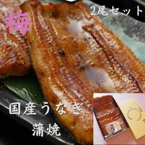 Zbgy~zY120g×2@É ȂĂ@yYaȂzy]ˑOzyYĂzy^tzy񂵂傤tzyp̉N̓ av[g[V]